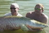 The Mighty Arapaima