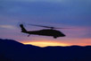 Desert Night Patrol