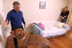 How to Control a 150 lb Dog
