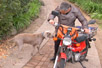 Postie Bike Attack