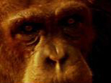 Av-1-200: Chimp Attack