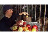 Av-401-600: The Grizzly Bear Diet