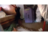 Av-401-600: Cat Rescue