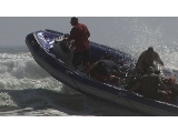 Av-401-600: Filming in Shark Bait