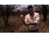 play video on National Geographic