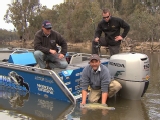 Angling Murray Cod