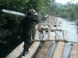 play video on National Geographic