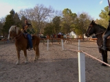 Jousting Battlefield
