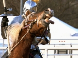 Knights in Training