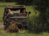 play video on National Geographic