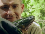 play video on National Geographic