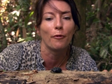 Freaks and Creeps: Poo Patrol