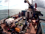 Av-1401-1600: Voyage to Pitcairn