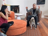 Av-1201-1400: Ralphie and Lahna's Pooches