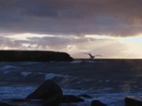 Tide and Time