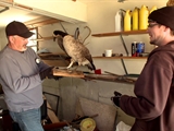 Bid & Destroy: Taxidermy Treasure