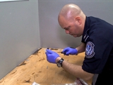 To Catch a Smuggler: Risky Delivery Method
