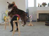 play video on National Geographic